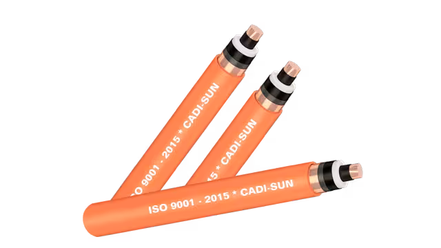 Cáp trung thế 24kV 1x