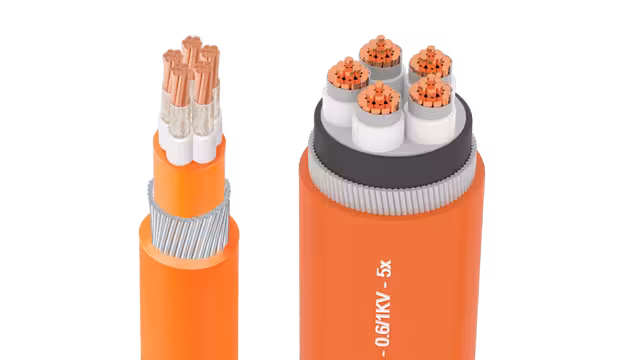 Cáp ngầm chống cháy DSTA/FR-NH-YJV22-Cu/Mica/XLPE/Fr-PVC/SWA 5x
