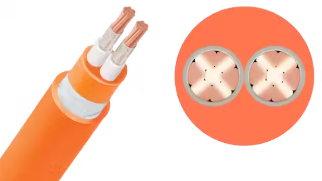 Cáp chậm cháy CXV/FRT/ZR-YJV-Cu/XLPE/Fr-PVC 2x