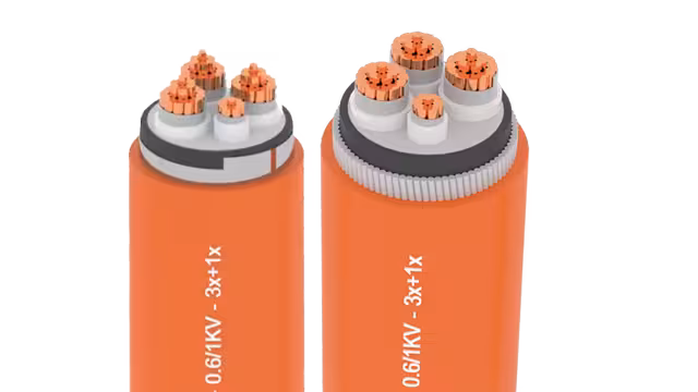 Cáp ngầm chậm cháy DSTA/FRT/ZR-YJV22-Cu/XLPE/Fr-PVC/DSTA 3x+1x